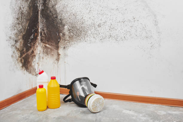 Best Water Damage Restoration  in Cana, VA