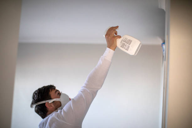 Best Professional Mold Removal  in Cana, VA