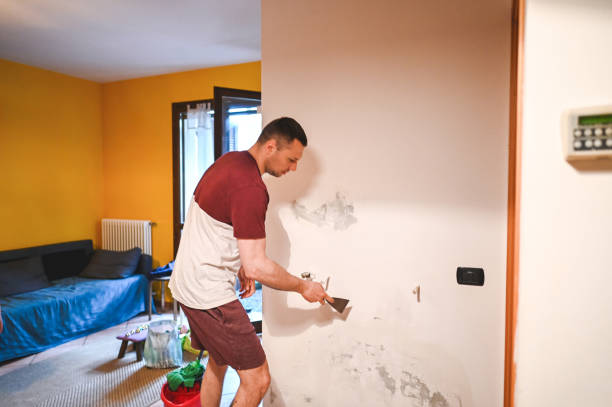Best Best Mold Removal Companies  in Cana, VA