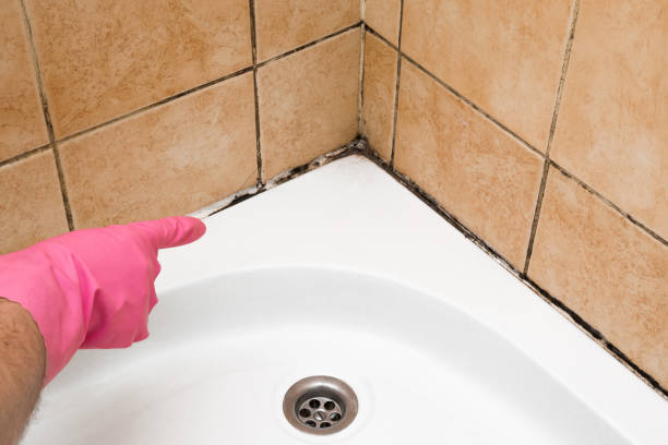 Best Commercial Mold Removal  in Cana, VA